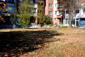 Офис в София, Белите брези