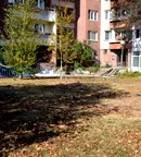 Офис в София, Белите брези