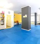 Офис в София, Борово