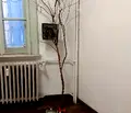 Снимка 4 — Офис в София, Център