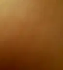 Офис в София, Дружба 1