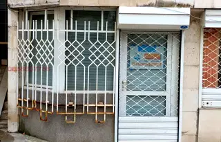 Магазин в София, Белите брези
