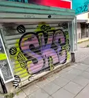 Магазин в София, Белите брези