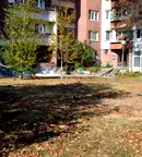 Магазин в София, Белите брези
