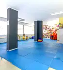 Магазин в София, Борово