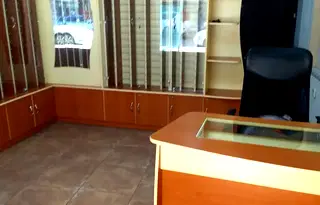 Магазин в София, Борово