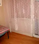 Стая в Пловдив, Център