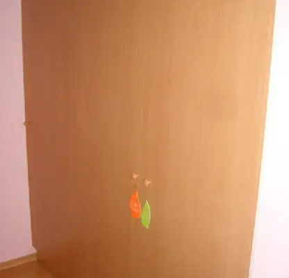 Снимка 4 — Стая в Русе, Дружба 1