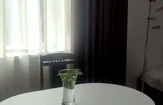 Стая в София, Център