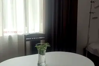 Стая в София, Център