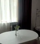 Стая в София, Център