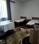 Стая в София, Център