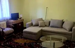 Стая в София, Център