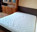 Снимка 2 — Стая в София, Дървеница