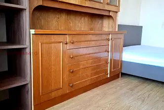 Стая в София, Дървеница
