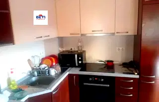 Стая в София, Оборище