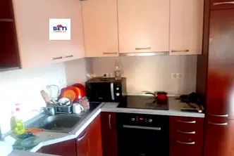 Стая в София, Оборище
