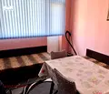 Снимка 2 — Стая във Варна, ВИНС-Червен площад
