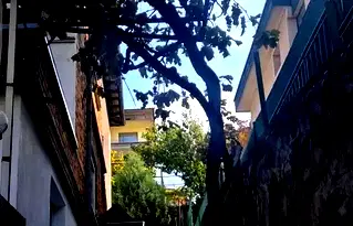 Тристаен апартамент в Пловдив, Асенов