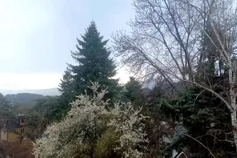 Тристаен апартамент в Банкя
