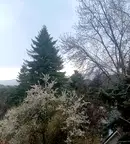 Тристаен апартамент в Банкя