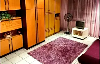 Двустаен апартамент в Русе, Родина 2