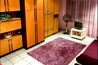 Двустаен апартамент в Русе, Родина 2