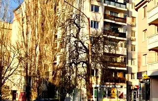 Многостаен апартамент в София, Бъкстон