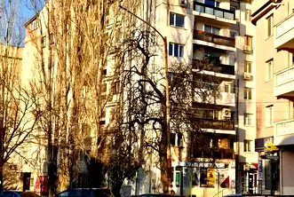 Многостаен апартамент в София, Бъкстон