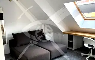 Едностаен апартамент в София, Център