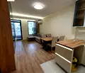Снимка 3 — Двустаен апартамент с тераса в Младост 4, София