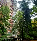 Многостаен апартамент в Стара Загора, Център