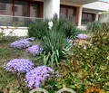 Снимка 2 — апартамент във Варна, Виница