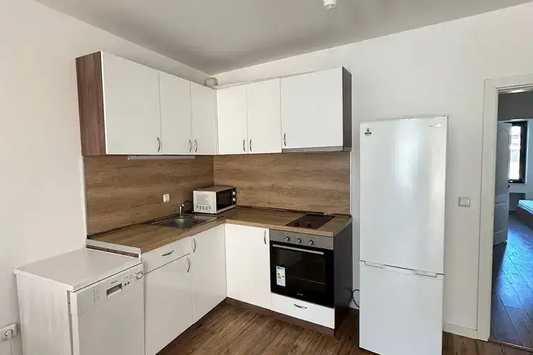 apartment in Varna, Vinica