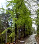 Парцел в Пловдив, хижа Здравец
