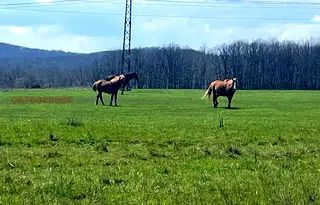 Парцел в Бургас, Ахтопол