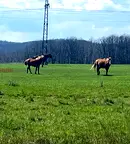 Парцел в Бургас, Ахтопол