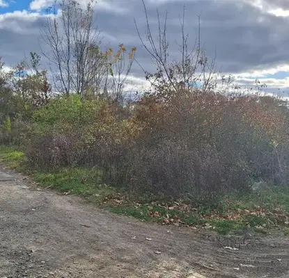 Photo 3 — Plot in Oblast Burgas, Ahtopol