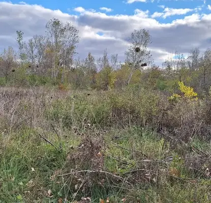 Photo 5 — Plot in Oblast Burgas, Ahtopol