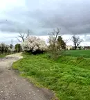 Парцел в Пловдив, Баня