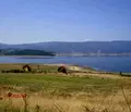 Снимка 2 — Парцел в Пазарджик, Батак