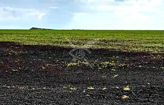 Парцел в Бургас, Промишлена зона - Север