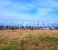 Снимка 2 — Парцел в Бургас, Черноморец