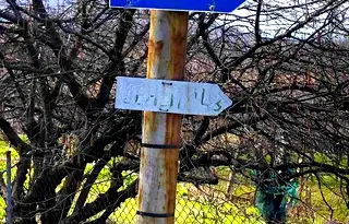 Парцел в Габрово, Шенини
