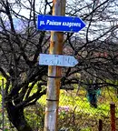 Парцел в Габрово, Шенини