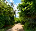 Снимка 3 — Парцел в Пловдив, Куклен
