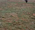 Снимка 5 — Парцел в Кюстендил, Бял камък