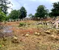 Снимка 3 — Парцел в Бургас, Малко Търново