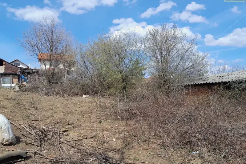 Парцел в Монтана, Кошарник