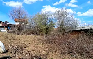 Парцел в Монтана, Кошарник